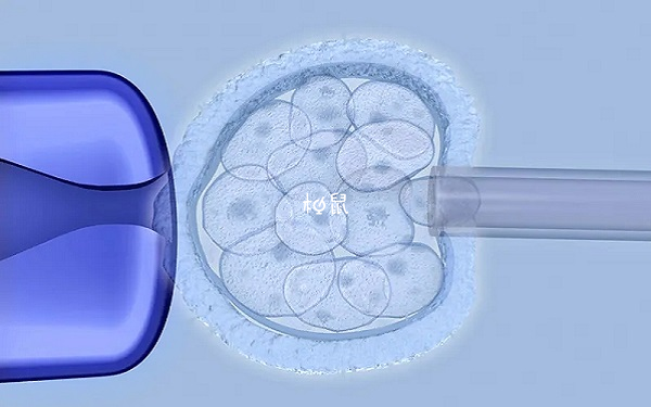 三级八细胞不属于优质胚胎
