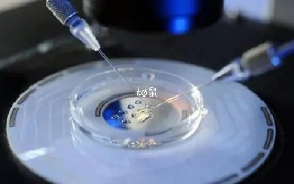 移植12c的冻胚成功率可能有50％