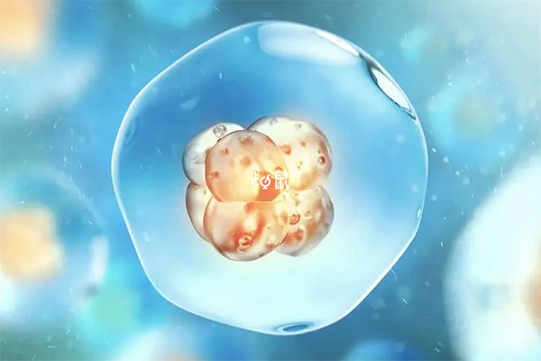 胚胎发育迟缓会导致HCG数值低