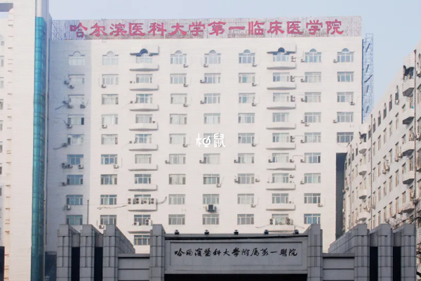 哈尔滨医科大学附属第一医院适合分娩
