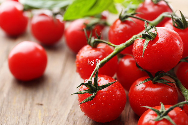 吃番茄可以补钾