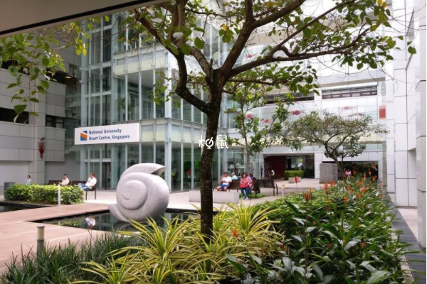 新加坡PFIMC医院