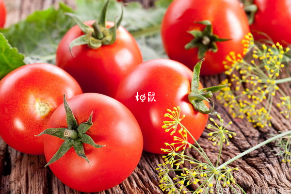 吃西红柿不容易长胖