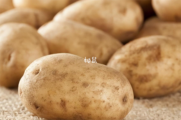 土豆淀粉含量较高