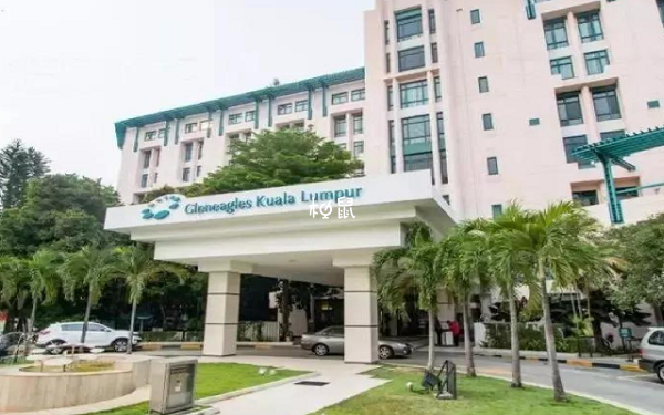 马来西亚三代试管医院成功率