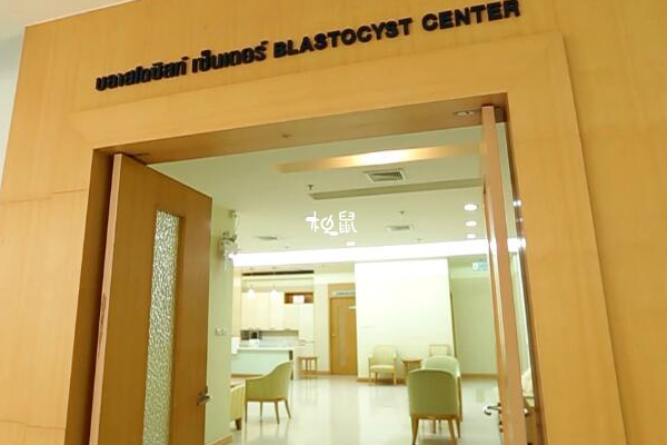 泰国碧雅威医院试管费用在10万元左右