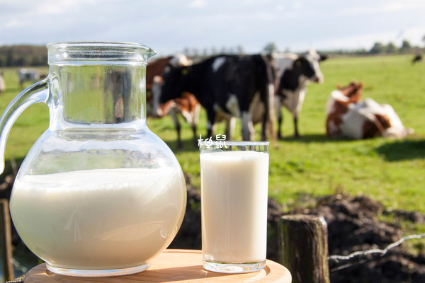 喝牛奶能够预防骨质疏松