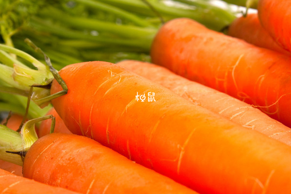 脾胃虚寒的人可以吃胡萝卜