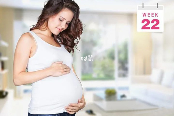 22周孕妇腹围在90厘米左右