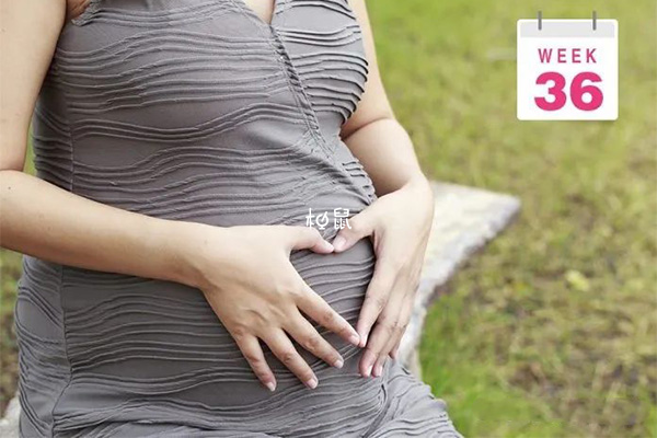 36周孕妇体重增长为10.1千克