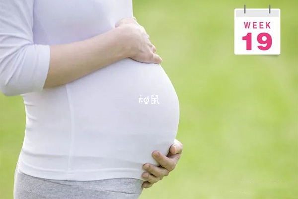 19周孕妇体重增长为5千克