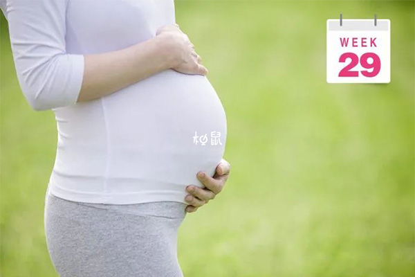 29周孕妇体重增长为8.5千克