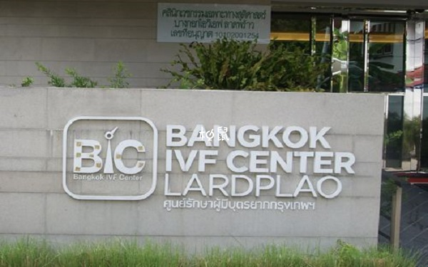 泰国BIC医院试管成功率有50%