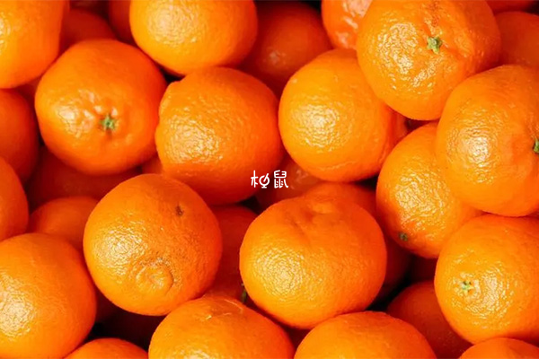 橘子树预示生贵子