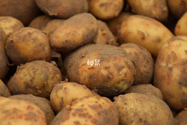 土豆对于肝脏没有影响
