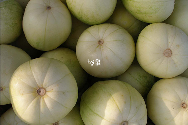 香瓜有甜蜜和幸福的寓意