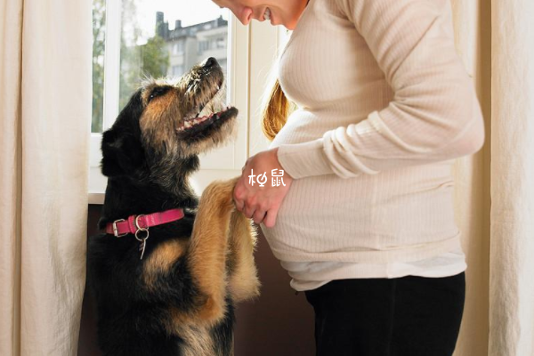 孕妇养狗可以调节心情