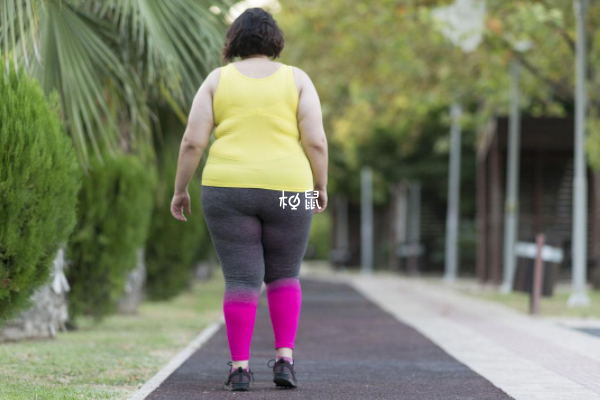 观察是否肥胖可以判断出是否有多囊