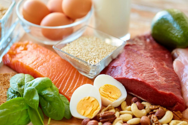 胚胎移植后吃高蛋白食物有助于着床