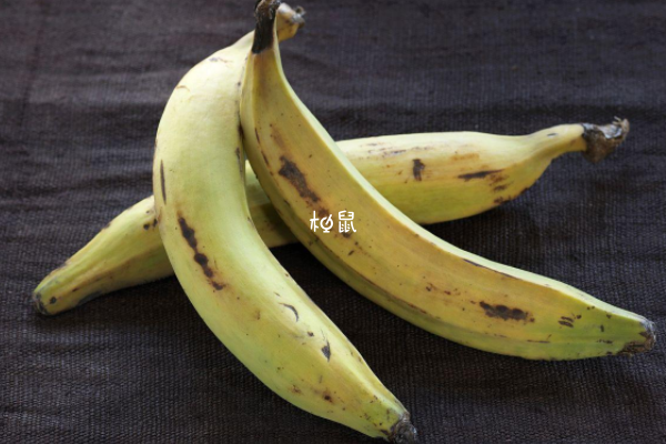 囊胚移植后能吃香蕉
