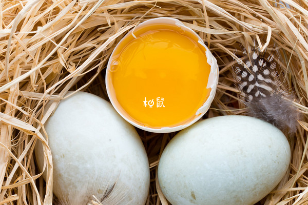 鲜胚移植后可以吃鸭蛋黄