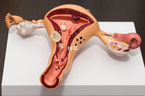 输卵管堵塞可以做试管婴儿