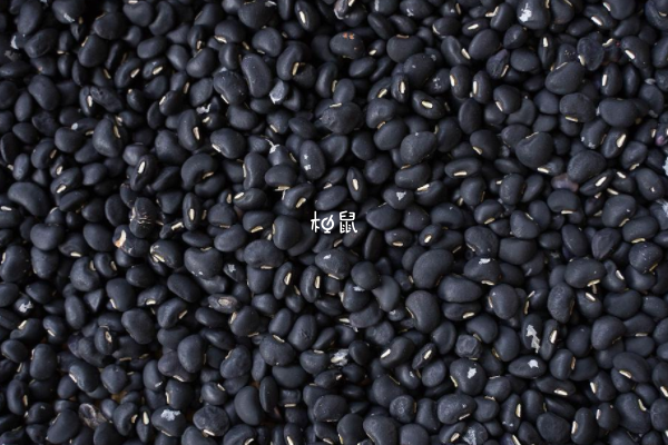 黑豆一般不会导致卵泡大而不排