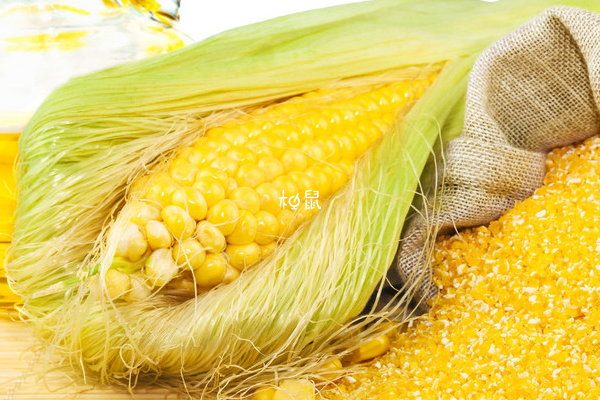 吃玉米可以促进卵泡生长