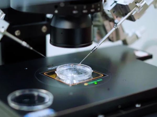 胚胎遗传学检查是什么项目