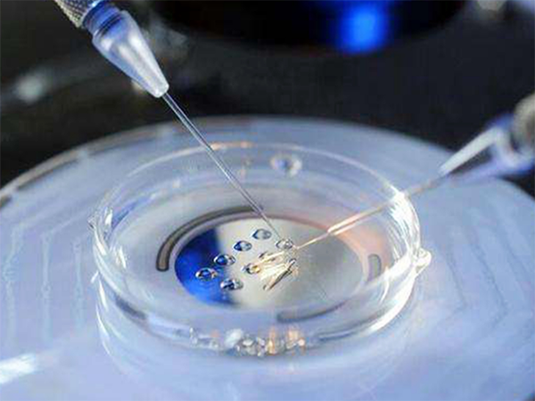 胚胎多次不着床会不会是封闭抗体阴性有关？
