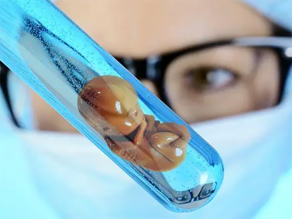 囊胚移植8天抽血未孕还有机会吗？