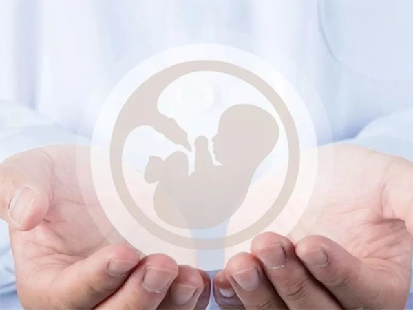 什么是胚胎移植窗口期内膜活检？