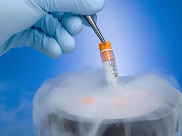 冻胚和自然受孕可以一起做吗？