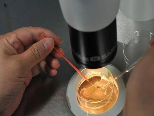三代试管会破坏了胚胎本身吗？