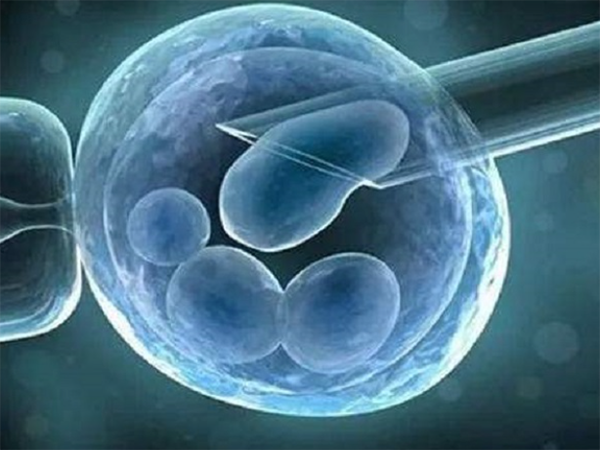 囊胚4bc和冻胚7c3哪个好？
