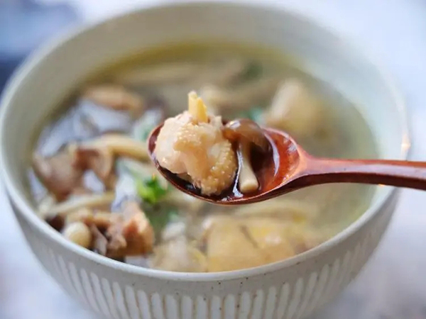 移植后可以喝菌菇汤吗？