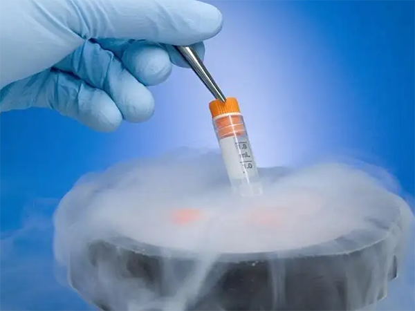 囊胚怎么保存到胚胎库？