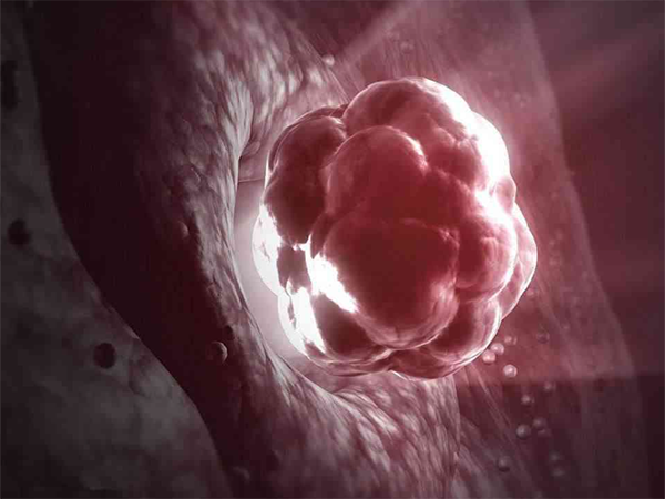 鲜胚着床失败多久开始下一周期？