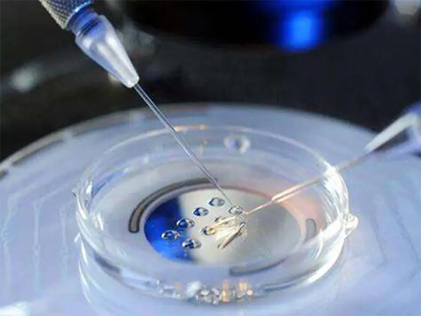 三代囊胚移植失败的原因有哪些？