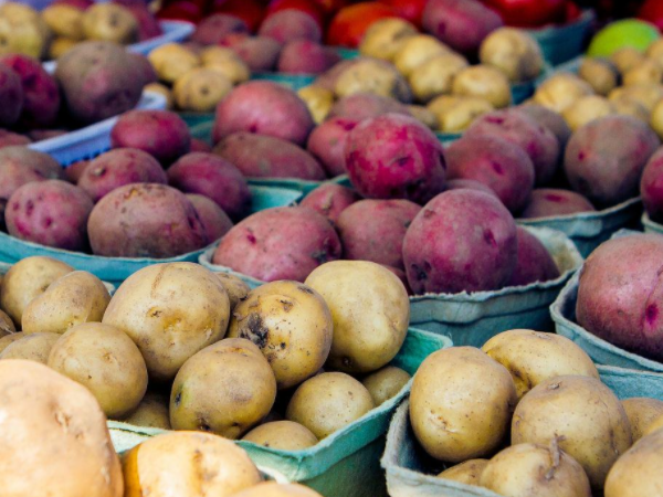 土豆是碱性食物还是酸性食物