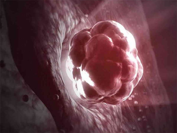 胚胎质量差移植后的六种表现是什么？