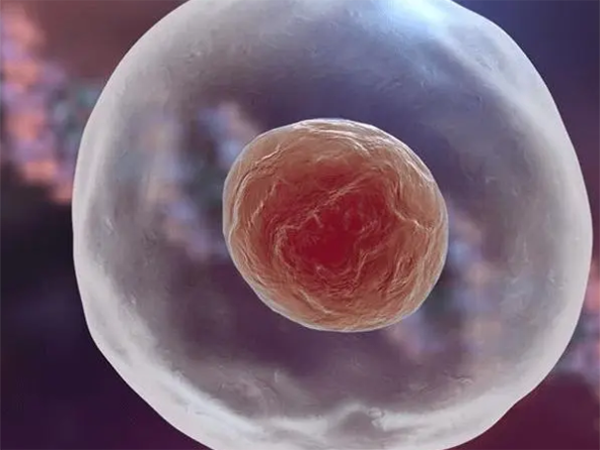 囊胚移植15天还出血有保胎成功的吗？