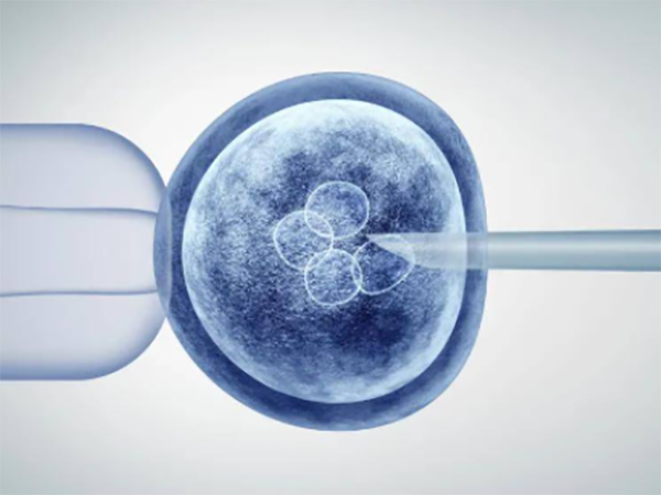 胚胎移植失败后间隔多久可以准备二次移植？