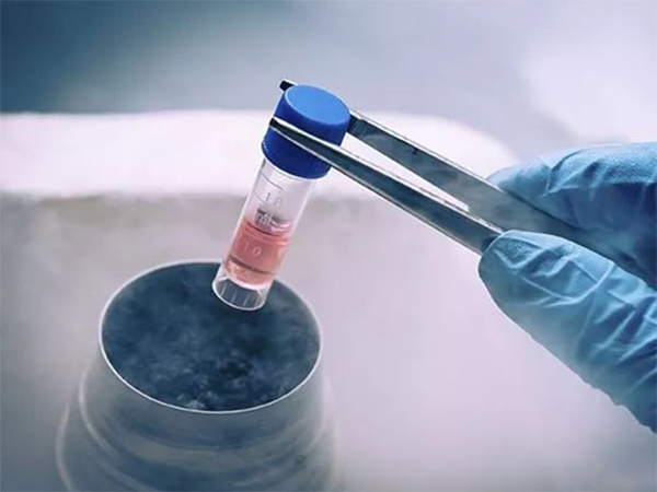 二级胚胎和三级胚胎会分开冷冻吗？