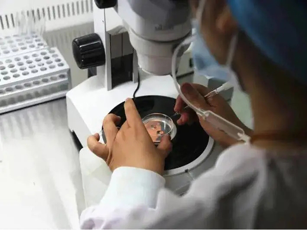 一代试管会筛查胚胎质量吗？