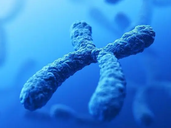 五种常染色体异常的显性遗传病