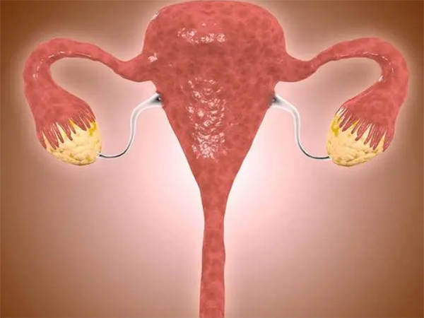 抗缪勒氏管激素1.12卵巢功能如何？