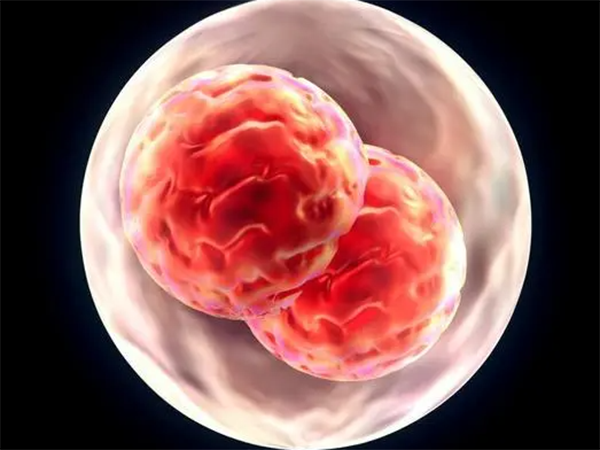 成熟卵细胞大小正常范围在多少?