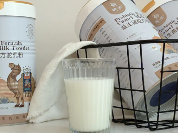 长期喝骆驼奶粉有什么功效?