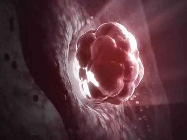 胚胎质量6c3？